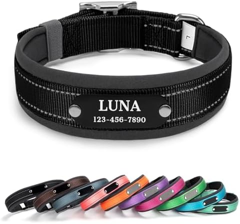 Personalized Reflective Dog Collar with Name, Black: S