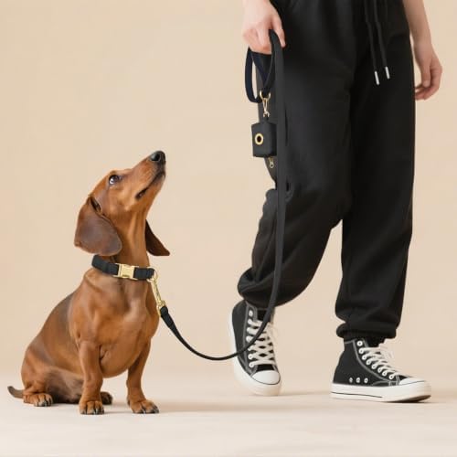 Didog Soft Padded Dog Collar for Small Dogs, Black, S Neck 10-15"