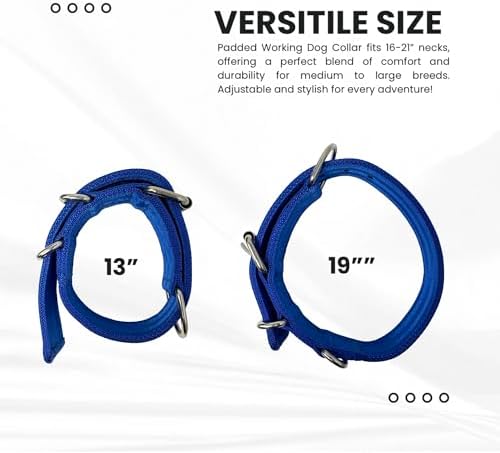 SparkDog 1.5” Working Dog Collar Heavy Duty Fits 13-19” Necks (Blue, 1.5")