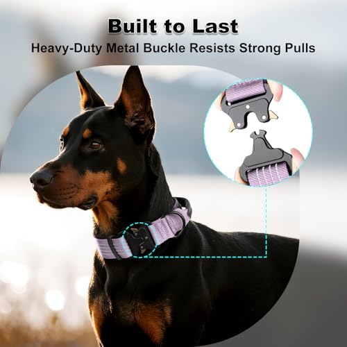 Plutus Pet Tactical Dog Collar with Pocket for AirTag, Purple, L