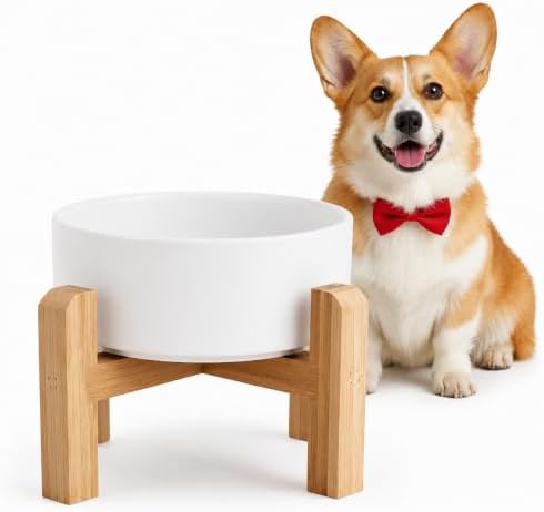 Elevated/Raised Ceramic Dog Bowl with Bamboo Stand，6 Inch 3.6 Cups Non Slip Heavy Weighted Single Pet Dish, for Small Medium Breed & Cats,Reduces Neck Strain White