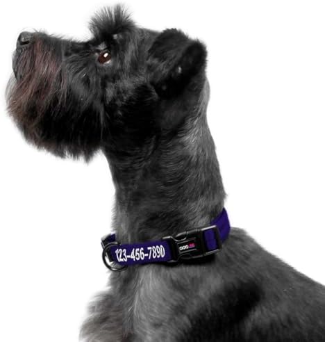 Dogline Purple Customizable Personalized Nylon Collar (W: 3/4" L: 13"-20")