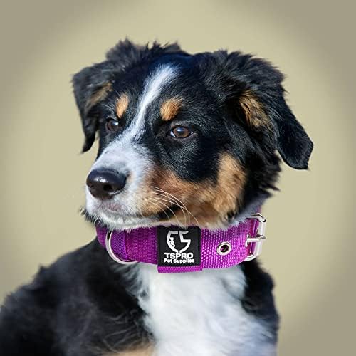 TSPRO Heavy Duty Thick Dog Collar with Metal Buckle for Small Dogs