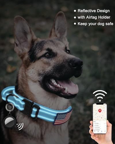 AUBELL Reflective Tactical Heavy Duty Dog Leash and Collar Set,Blue L