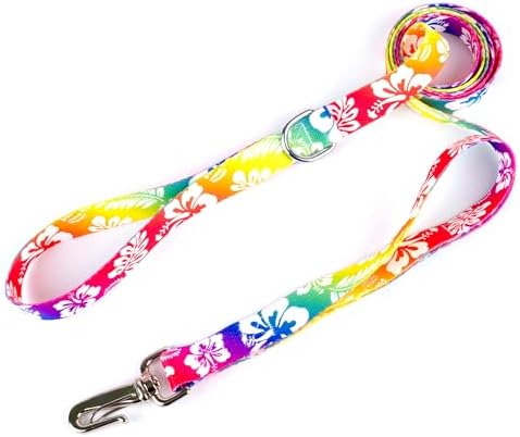 Country Brook Petz - Deluxe Hawaiian Rainbow Dog Leash - Summer Breeze Collection Featuring Sunny Designs (6 Foot, 5/8 Inch Wide)
