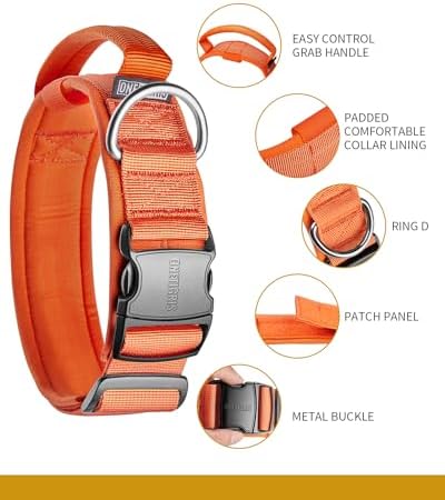 OneTigris Heavy Duty Dog Collar for Large Dogs with Traffic Handle Orange L