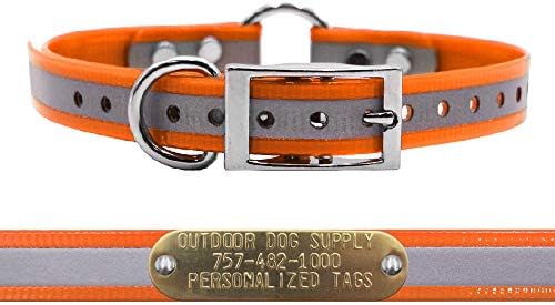 Reflective Waterproof D & Center Ring Dog Collar w Custom Name Tag, Lt Blue