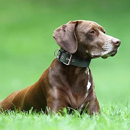 TSPRO Heavy Duty Thick Dog Collar with Metal Buckle for Medium Dogs
