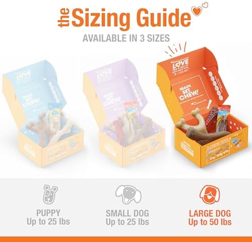 Nylabone Dog Gift Box, Strong Chew Toys & Treat, Large, 4 Count