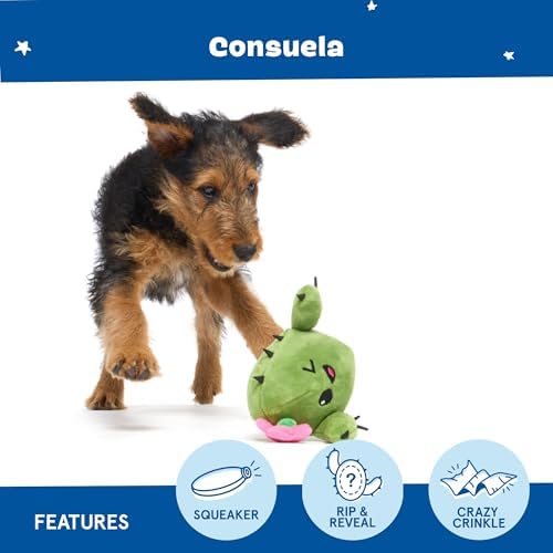 BarkBox Consuela the Cactus 2-in-1 Interactive Plush Dog Toy