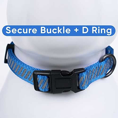 Pawtitas Reflective Dog Collar - Personalized Name & Phone Number Adjustable Nylon Collar for Small Dogs, Puppies, Extra Small Breeds - Blue