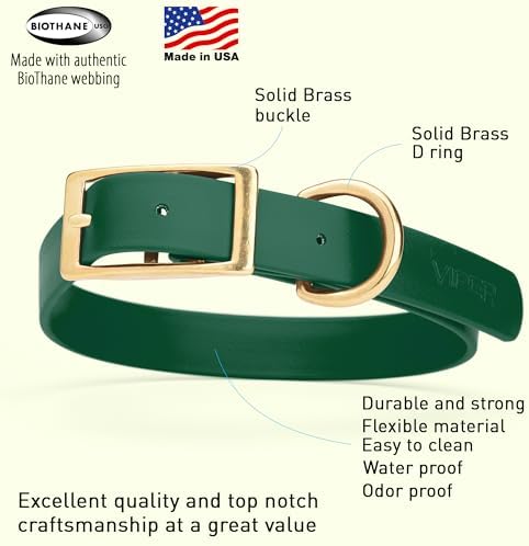 Viper Biothane Heavy Duty Waterproof Dog Collar Strong Coated Nylon Webbing w/Solid Brass Hardware Odor-Proof Easy to Clean High Performance Fits Small Medium or Large Dogs, Hunter Green