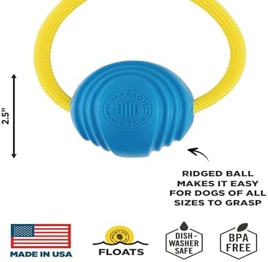 PROJECT HIVE ·PET COMPANY· Looped Ball 2 Pack-SM-Pink/Blue
