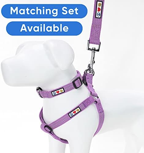 Pawtitas Orchid Dog Leash 6 ft M/L Reflective Durable Lightweight Dog Lead for Medium or Large Dogs and Puppies