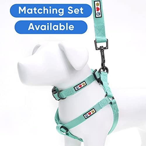 Pawtitas Dog Collar for Large Dogs Adjustable Dog Collar Heavy Duty Waterproof Collars for Dogs with Quick-Release Buckle - Teal Dog Collar for Large Breeds