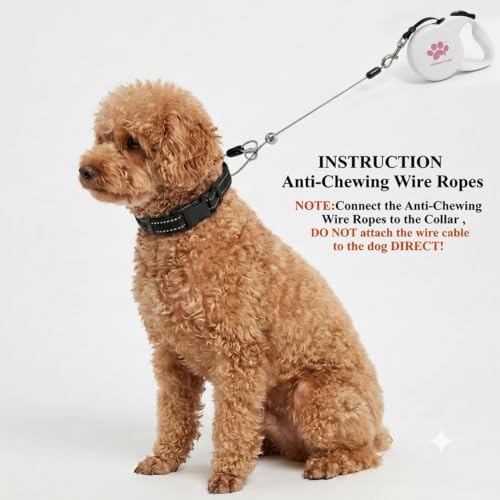 Chew Proof Retractable Dog Leash for Small Dogs up to 33lbs, 10ft Heavy Duty Dog Lead with Anti-Chewing Steel Wire Rope, Tangle-Free, One-Hand Brake & Lock, White S