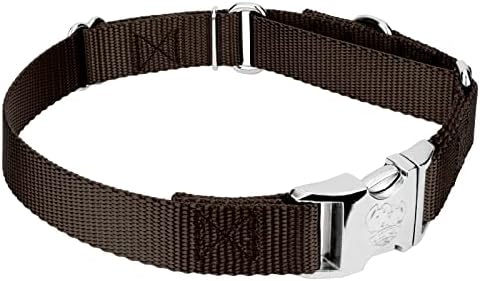 Country Brook Petz - Martingale Dog Collar - Heavy Duty Nylon Adjustable Martingale Dog Collar with Metal Buckle for Small Medium Large Breeds 30+ Color Options (1 Inch, Medium, Brown)