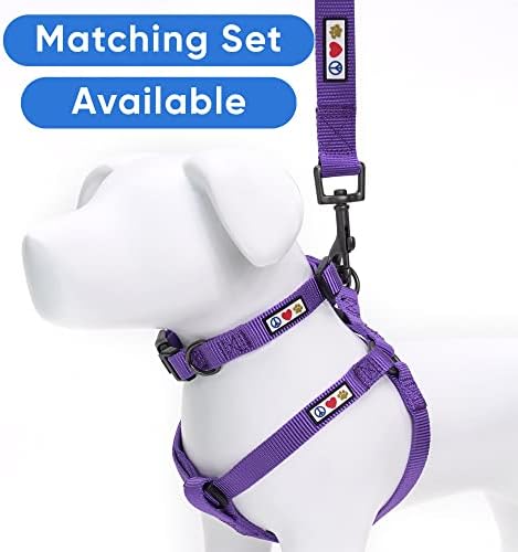 Pawtitas Solid 6 ft Purple Dog Leash M/L Custom Name and Phone Embroidery Strong Nylon Leash for Medium and Large Breeds