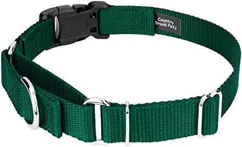 Martingale Dog Collar - Heavy Duty Nylon Adjustable Martingale Dog Collar with Plastic Buckle for Small Medium Large Breeds - 30+ Colors (1 Inch, Extra Large, Green)