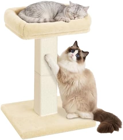Cat Scratching Post with Plush Perch for Indoor Cats, 32 Inch, Beige