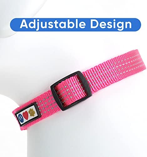 Pawtitas Reflective Dog Collar for X-Small Dogs – Adjustable Nylon Puppy Collar with Quick-Release Buckle | Fits Neck 8–13 in | Night Safety Training Collar | XS | Pink