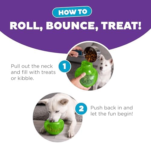 Outward Hound Snoop Interactive Treat Dispensing Dog Toy, Green, 5"
