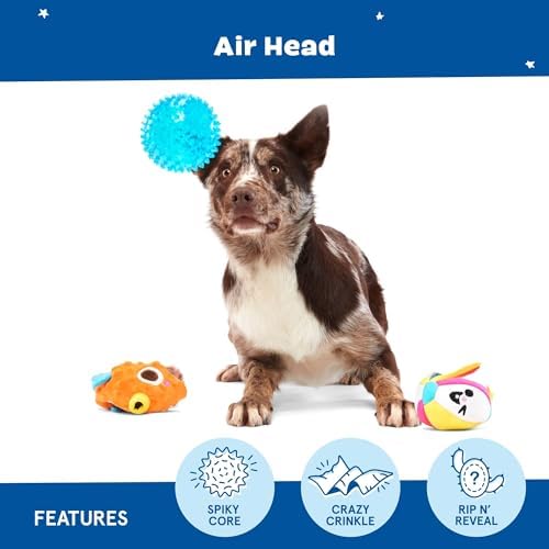 BarkBox Air Head Rip & Reveal Interactive Plush Dog Toy