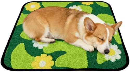 Qeils Reusable Puppy Pads for Small Dogs, Washable Pee Pads with Non-Slip , Absorbent Leakproof Mat for Crates, Playpens, Pet Beds & Whelping, Indoor Potty Training Grass Green, 22"x22", 2 Pack