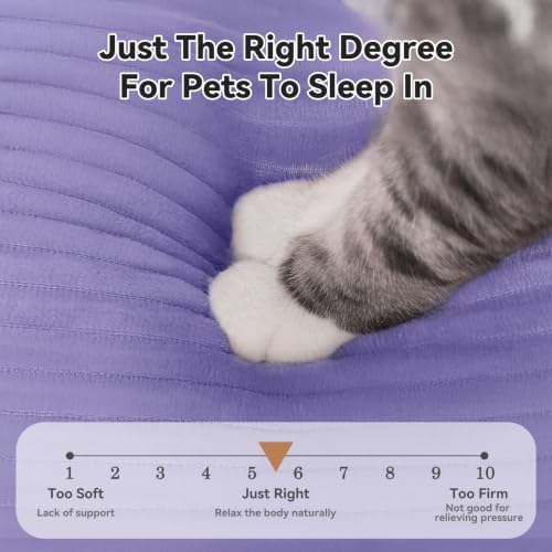Zerbuger 20in Violet Rectangle Cat Dog Bed Machine Washable Sleeping Sofa