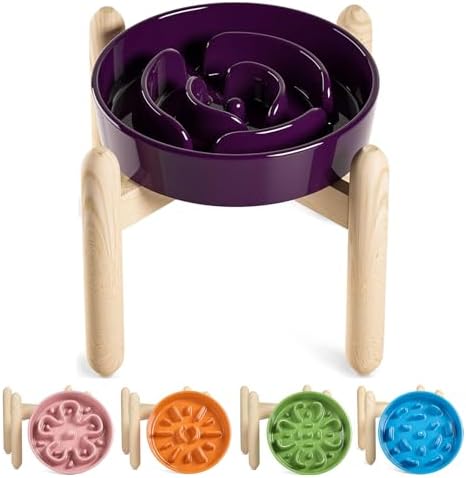 LE TAUCI Ceramic Slow Feed Dog Bowls, Elevated for Small and Medium Breed Dogs, Anti-Gulping Pet Feeding Dishes, Maze Purple, 1.5 Cups