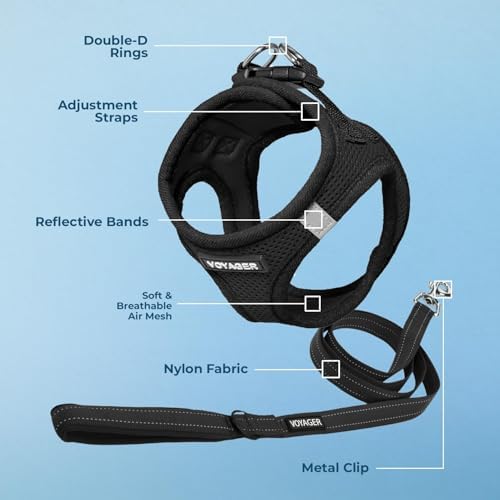 Best Pet Supplies Voyager Step-in Air All Weather Mesh Harness and Reflective Dog 5 ft Leash Combo with Neoprene Handle, for Small, Medium and Large Breed Puppies - Black, XL