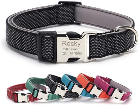 Personalized Dog Collars with Name and Phone