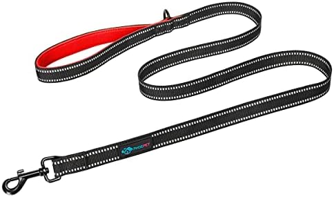 PHOEPET 5 Feet Heavy Duty Dog Leash - Reflective - Soft Padded Handle