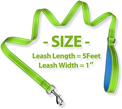 PHOEPET 5 Feet Dog Leash - Dual-Side Reflective - Soft Padded Handle