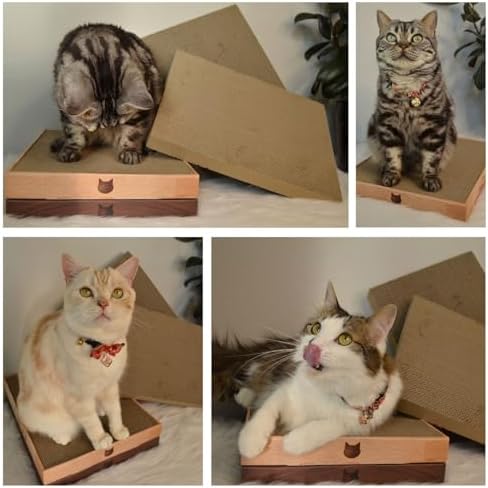 Necoichi Cardboard Cat Scratcher Bed for Indoor Cats - Cat Scratching Board (16" Wide, c. Replacement 2 Pads)