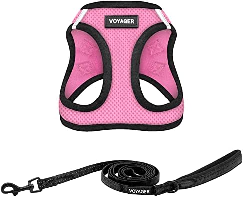 Best Pet Supplies Voyager Step-in Air All Weather Mesh Harness and Reflective Dog 5ft Leash Combo with Neoprene Handle, for Small, Medium and Large Breed Puppies - Pink/Black Trim, XX-Small