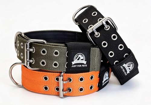4-Layer Nylon Dog Collar,Heavy Duty for Large Dogs,Army Green XL