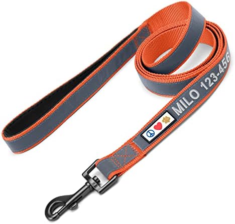 Pawtitas Personalized Orange Dog Leash 6 ft Custom ID Lead for Dogs & Puppies Reflective Comfortable Padded Handle Embroidered Name & Phone Number