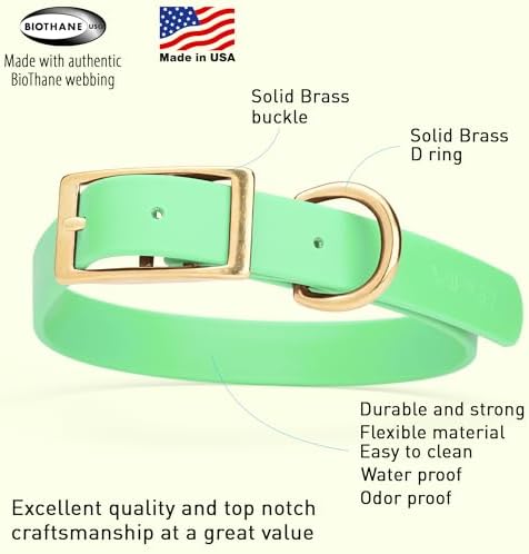 Viper Biothane Heavy Duty Waterproof Dog Collar Strong Coated Nylon Webbing w/Solid Brass Hardware Odor-Proof for Easy Care to Clean High Performance Fits Small Medium or Large Dogs, Sea Foam Green