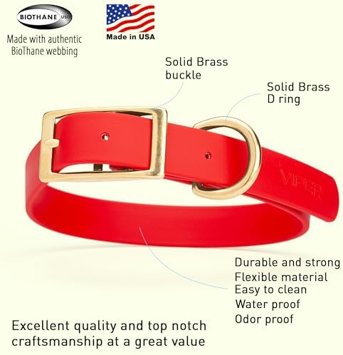 Viper Biothane Heavy Duty Waterproof Dog Collar Strong Coated Nylon Webbing w/Solid Brass Hardware Odor-Proof Easy to Clean High Performance Fits Small Medium or Large Dogs, Cherry Red