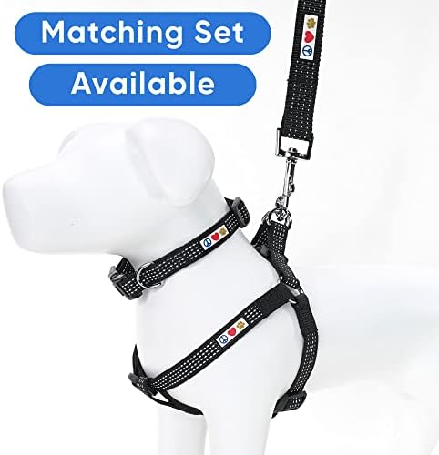 Pawtitas Reflective Dog Collar for Medium Dogs – Adjustable Nylon Collar with Quick-Release Buckle | Fits Neck 13–20 in | Night Safety Training Collar | M | Black