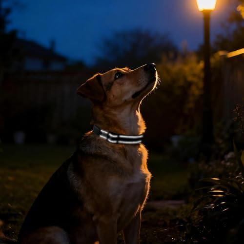 Custom Nylon Reflective Dog Collar, Personalized Embroidered Dog Collar with Name and Phone Number, Upgraded D-Shaped Leather Ring, 4 Adjustable Sizes - for Boy, Girl Dogs (Embroidery)