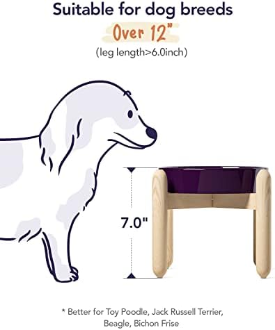LE TAUCI Ceramic Slow Feed Dog Bowls, Elevated for Small and Medium Breed Dogs, Anti-Gulping Pet Feeding Dishes, Maze Purple, 1.5 Cups