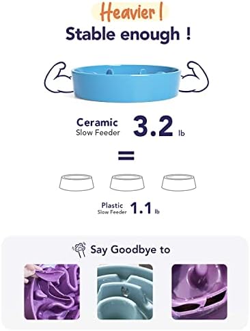 LE TAUCI PET Slow Feeder Dog Bowl Ceramic, 1.5 Cups, Blue, Non-slip Base