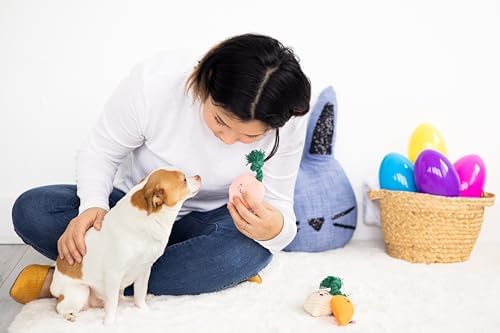 Pearhead Spring Garden Veggies Dog Toys, Plush Squeaky Rope Dog Toys