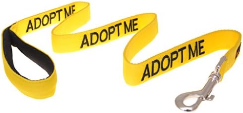 Adopt ME Yellow Color Coded 2 4 6 Foot Padded Dog Leash (New Home Needed) Donate to Your Local Charity (4 Foot Leash)
