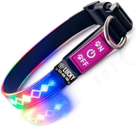 Personalized Flashing Dog Collar with Laser Engraved ID Tag