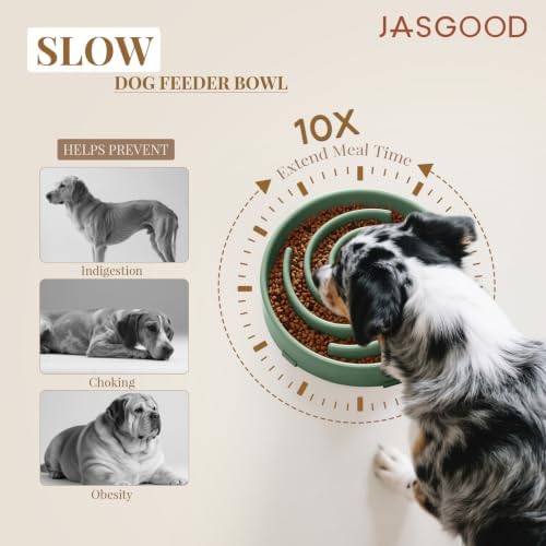 JASGOOD Slow Feeder Dogs Bowl for Large Medium Dogs,Anti-Gulping Pet Slower Food Feeding Bowls