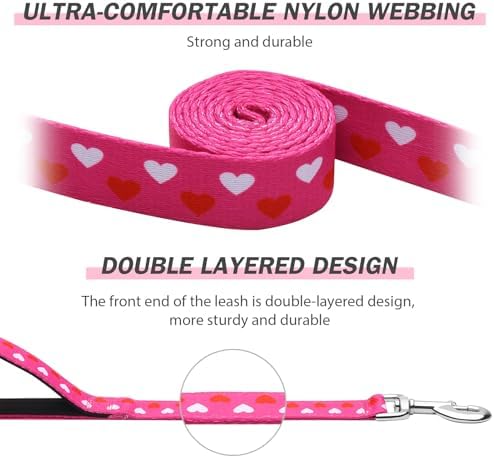 Hikiko 6FT Dog Leash Padded Double Handle with Designed Pattern