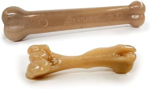 Nylabone Strong Chew Gourmet Style Dog Chew Toys, Large, 2 Count
